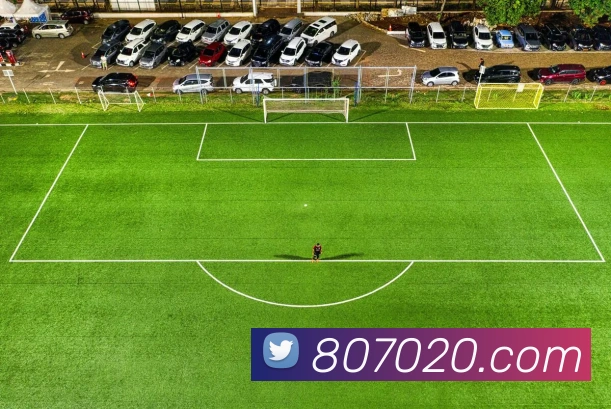 开云app平台生态图